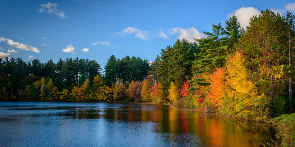 The Best Places for Leaf-Peeping—No Matter Where You Live!